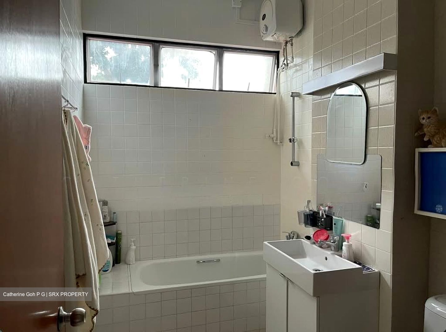 Princess Of Wales Park (D10), Semi-Detached #533462471